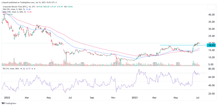 Gbtc bitcoin grayscale btc exposure