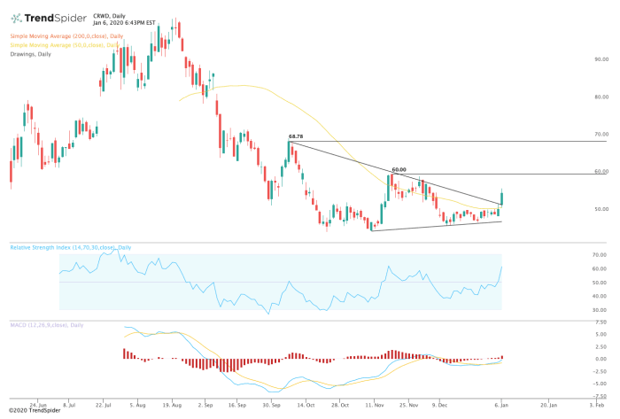 Crowdstrike ycharts holdings climbed spx