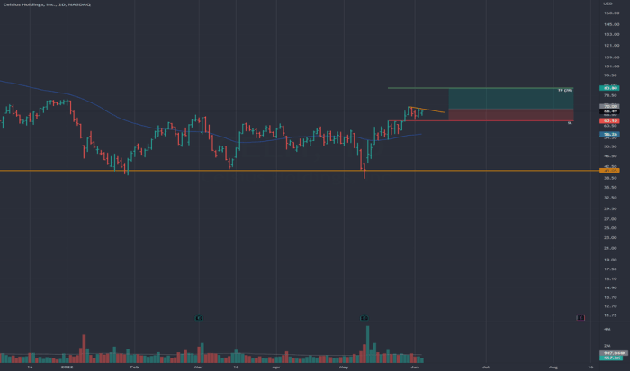 Celh stock price