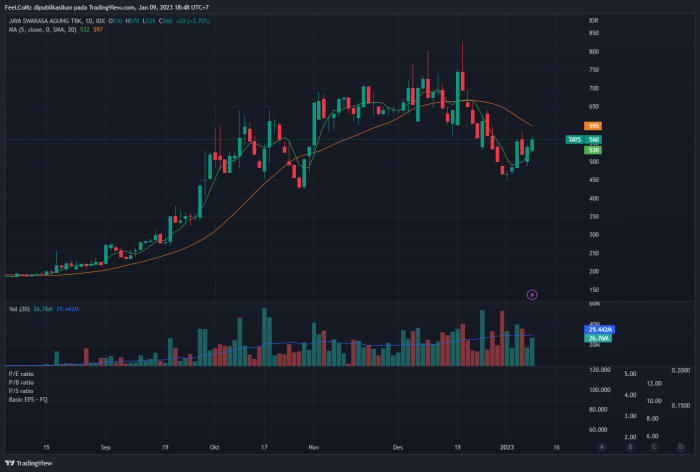 Tmtg stock price