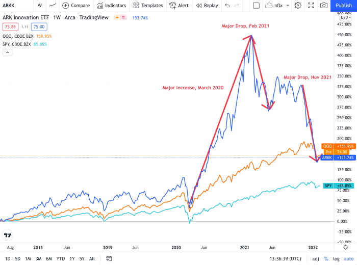 Arkk stock price